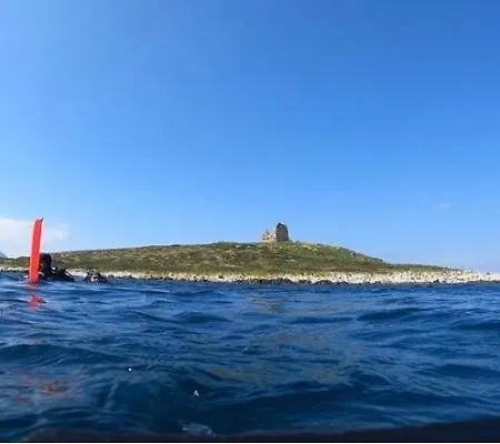 Bed Ponente Πανσιόν *